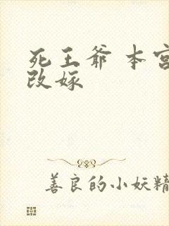 死王爷 本宫已改嫁