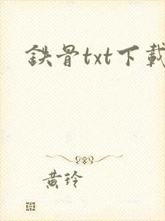 铁骨txt下载