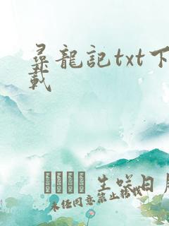 寻龙记txt下载