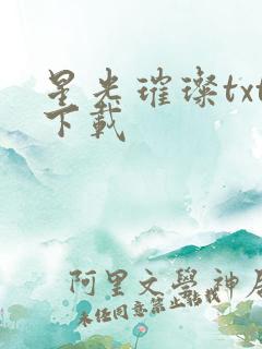 星光璀璨txt下载