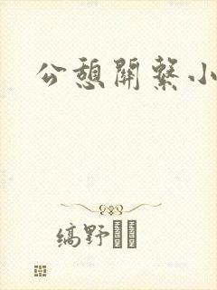 公憩关系小说