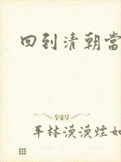 回到清朝当总统