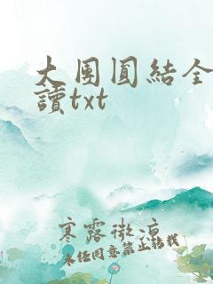 大团圆结全文阅读txt