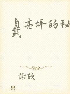 月亮坪的秘密下载