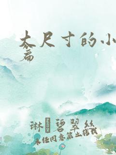 大尺寸的小说短篇