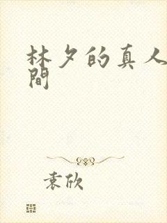 林夕的真人娃娃间