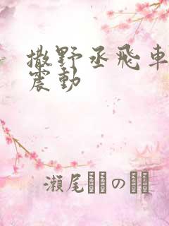 撒野丞飞车道具震动