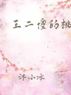 王二傻的桃花运