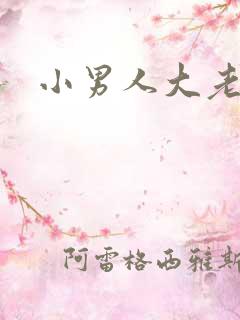 小男人大老婆