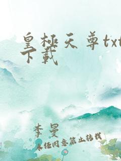 皇极天尊txt下载