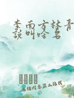 李南方林青青小说叫啥名