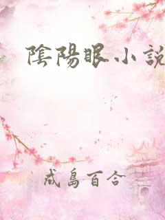 阴阳眼小说