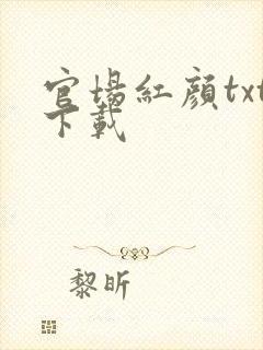 官场红颜txt下载