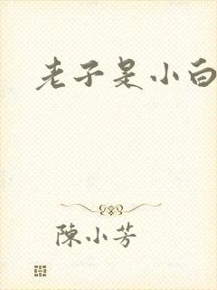 老子是小白脸
