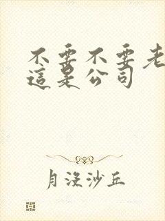 不要不要老板别这是公司