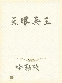 天眼兵王