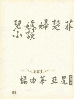 儿媳妇楚菲菲的小说