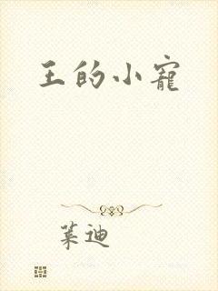 王的小宠