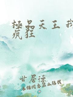 极品天王 我本疯狂