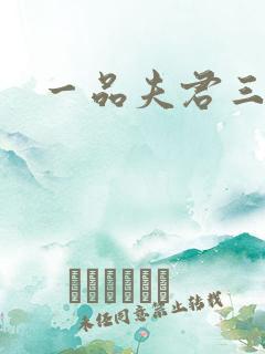 一品夫君三流妻