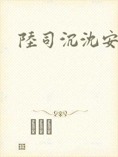 陆司沉沈安