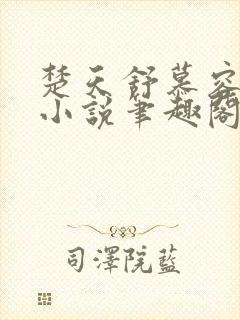 楚天舒慕容江月小说笔趣阁