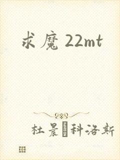 求魔 22mt