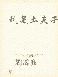 我是土夫子
