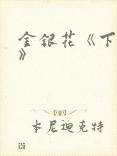 金银花《下厨房》