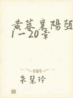 黄蓉襄阳堕落史1一20章