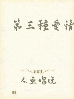 第三种爱情番外