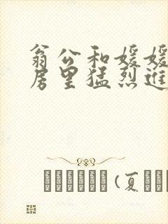 翁公和媛媛在厨房里猛烈进出