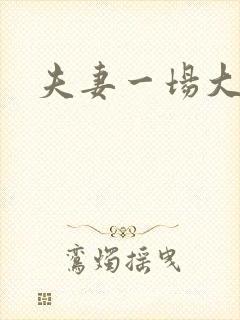 夫妻一场大结局