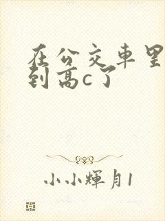 在公交车里c弄到高c了