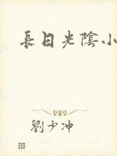 长日光阴小说