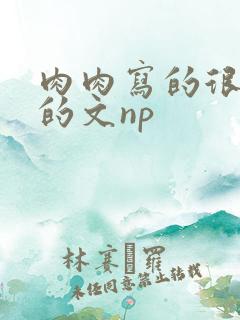 肉肉写的很细致的文np