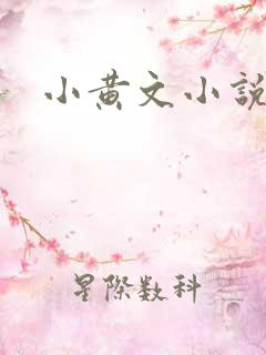小黄文小说