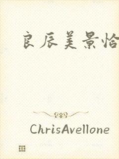 良辰美景恰似你