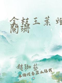 金枝玉叶 灯火阑珊