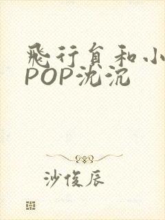 飞行员和小空乘POP沈沉