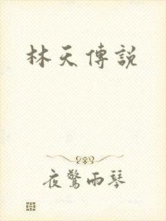 林天传说