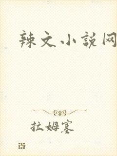辣文小说网