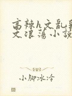 高辣h文乱乳h文浪荡小说