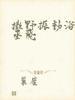 撒野振动浴缸车丞飞