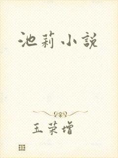 池莉小说