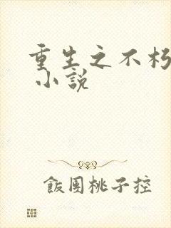 重生之不朽传奇 小说