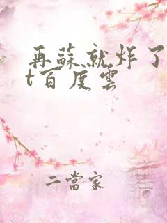 再苏就炸了txt百度云