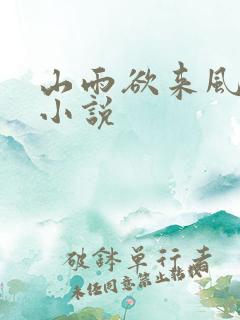 山雨欲来风满楼小说