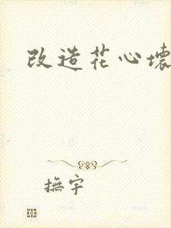 改造花心坏相公