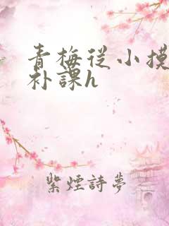 青梅从小摸到大补课h
